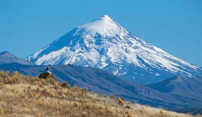 Turismo en America Latina - Lanín